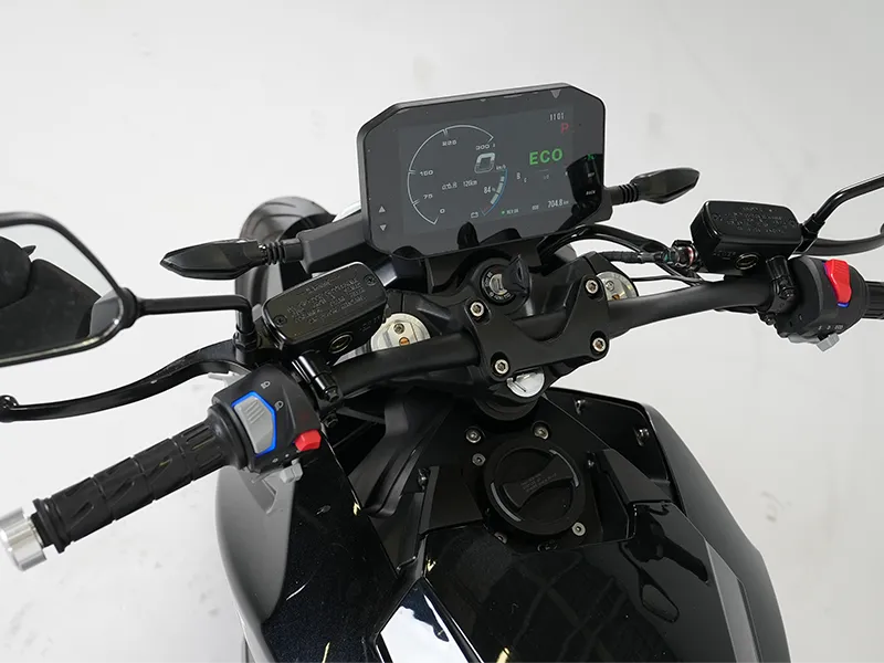 Tinbot RS1 Display und Lenker.